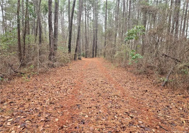 Photo 3 of Single family home for sale at 488 Green St, Parkton, NC 28371 | MLS# 757100 | Listing updated on 2026-08-31