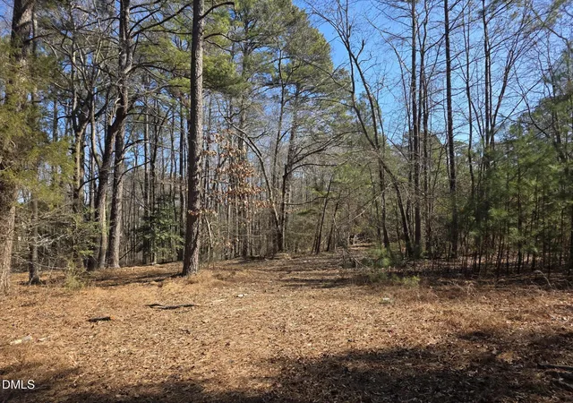 4th image of 4113 Pearl Rd, Raleigh, NC 27610 | MLS# 10145499