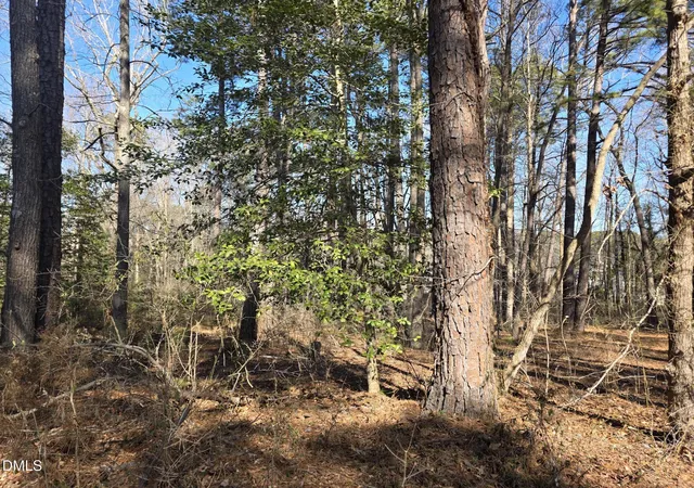 5th image of 4113 Pearl Rd, Raleigh, NC 27610 | MLS# 10145499