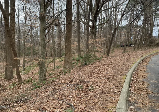 Photo 3 of Land for sale at 0 Washington And Smith St, Clayton, NC 27520 | MLS# 10153285 | Listing updated on 2026-07-30
