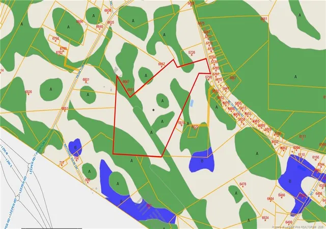 Photo 5 of Land for sale at Mcdonald Rd, Parkton, NC 28371 | MLS# 757178 | Listing updated on 2026-07-18