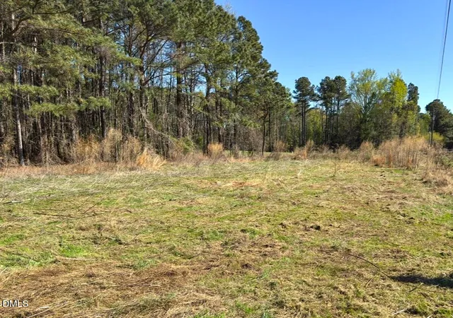 Homes for sale in Manson, NC | 00 Mt Pleasant Church Rd, Manson, NC 27553 | MLS# 10145920