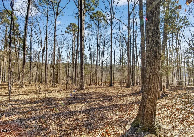Photo 3 of Land for sale at 0 Globe Rd, Morrisville, NC 27560 | MLS# 10146718 | Listing updated on 2026-08-25