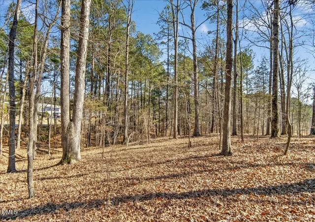 Photo 3 of Land for sale at 0 Globe Rd, Morrisville, NC 27560 | MLS# 10146718 | Listing updated on 2026-08-25