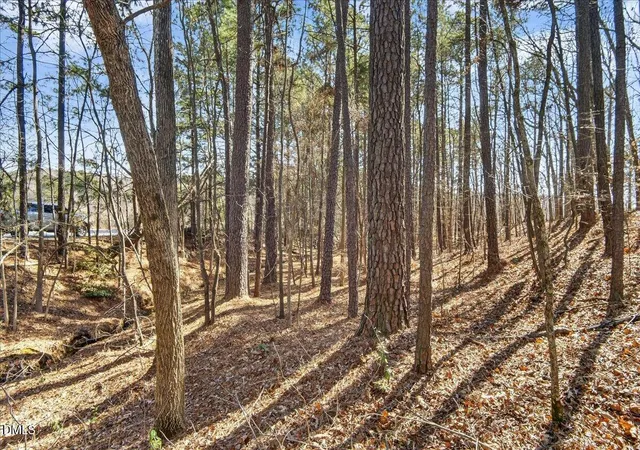 Photo 4 of Land for sale at 0 Globe Rd, Morrisville, NC 27560 | MLS# 10146718 | Listing updated on 2026-08-25