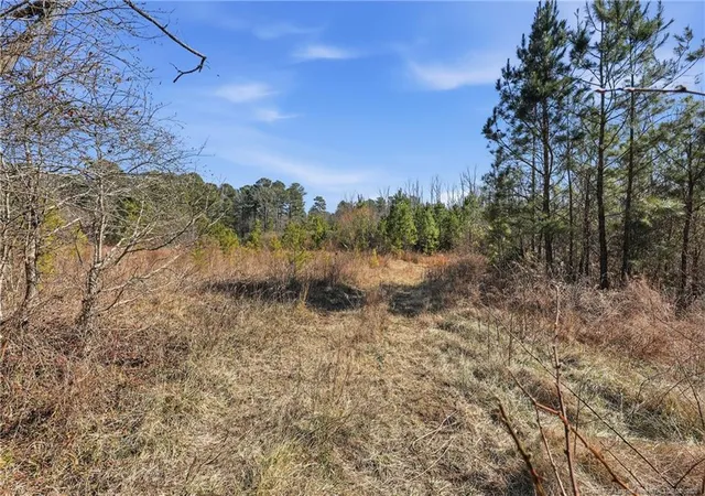 31st image of 1600 Mt Willing Rd, Efland, NC 27243 | MLS# 757373