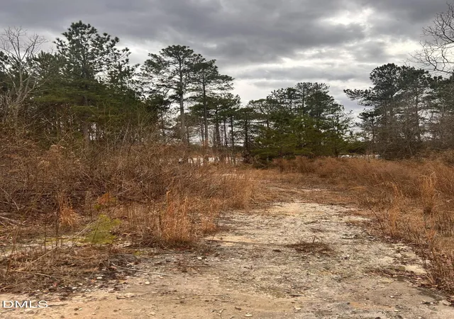 Photo 3 of Land for sale at 198 Old County Line Rd, Cameron, NC 28326 | MLS# 10147423 | Listing updated on 2026-07-18