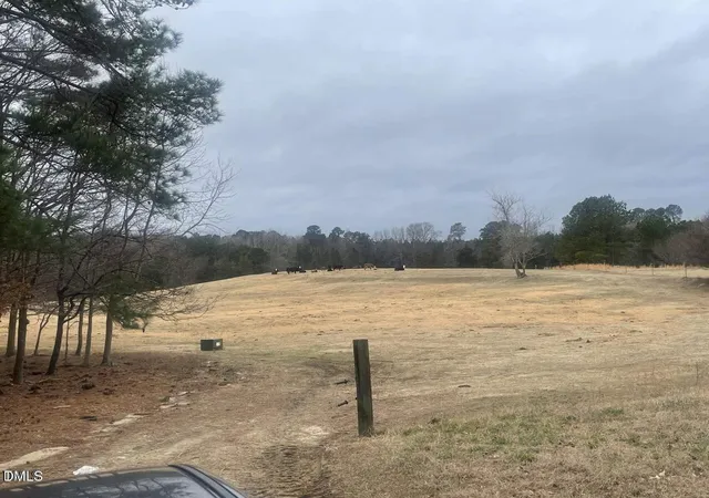 4th image of 0 White Cedar Ln, Youngsville, NC 27596 | MLS# 10147774