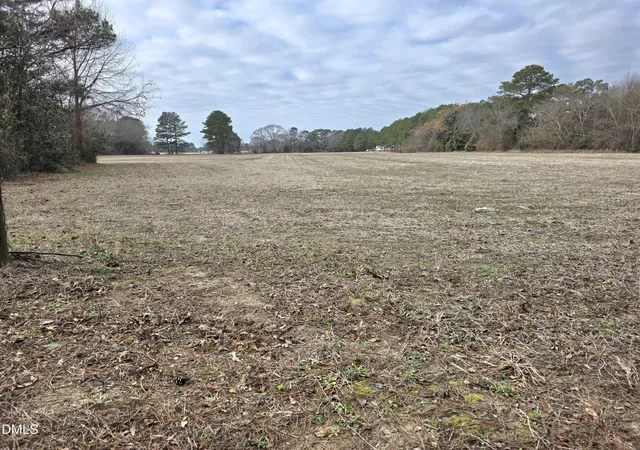 1st image of 0 Old Small Chapel Ln, Benson, NC 27504 | MLS# 10147815