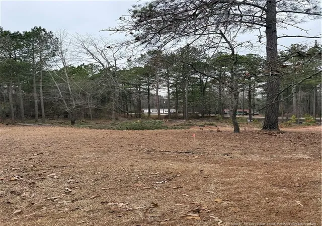 23rd image of 108 Richfield Ct, Vass, NC 28394 | MLS# 757792