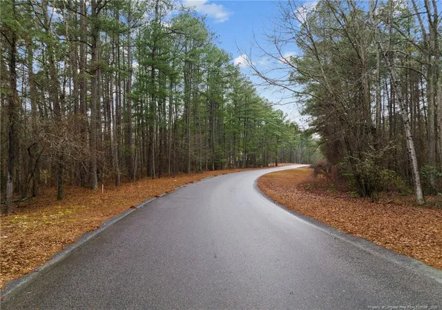 Homes for sale in West End, NC | 221 Pebble Dr, West End, NC 27376 | MLS# 757907