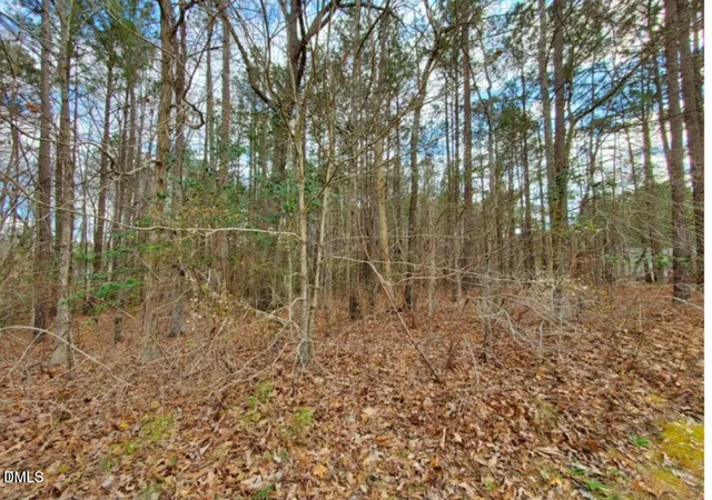 Photo 1 of Land for sale at 195 Owl Dr, Youngsville, NC 27596 | MLS# 10149423 | Listing updated on 2026-08-21