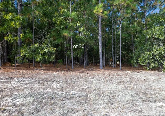Homes for sale in Garland, NC | Old Tom Morris Rd, Garland, NC 28441 | MLS# 758070