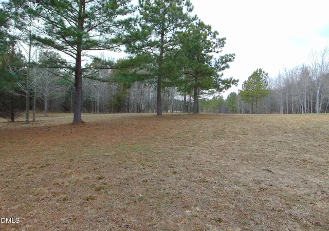 Homes for sale in Providence, NC | 13 Lone Oak Trail, Providence, NC 27315 | MLS# 10149517