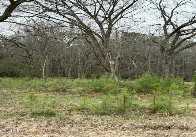 Photo 4 of Land for sale at 1102 S 6th Street, Lillington, NC 27546 | MLS# 10149616 | Listing updated on 2026-07-30