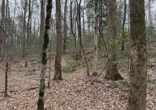 Photo 5 of Land for sale at 0 Eatmon Rd, Zebulon, NC 27597 | MLS# 10149570 | Listing updated on 2026-07-18