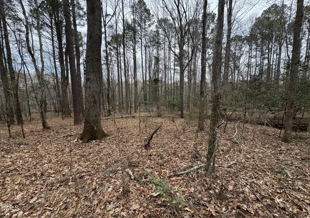 Photo 63 of Land for sale at 0 Eatmon Rd, Zebulon, NC 27597 | MLS# 10149570 | Listing updated on 2026-07-18