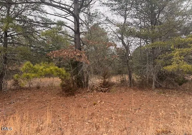 1st image of 000 Triple Creek Dr, Efland, NC 27243 | MLS# 10149960