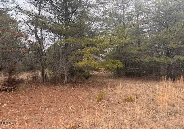 2nd image of 000 Triple Creek Dr, Efland, NC 27243 | MLS# 10149960
