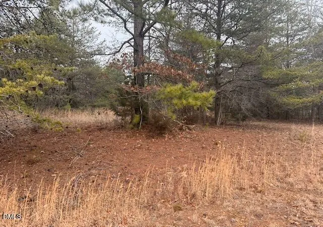 4th image of 000 Triple Creek Dr, Efland, NC 27243 | MLS# 10149960