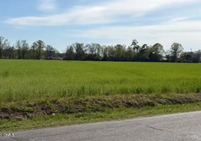 3rd image of 2278 Jonesboro Rd, Dunn, NC 28334 | MLS# 10149685