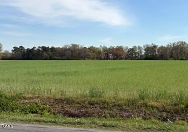 4th image of 2278 Jonesboro Rd, Dunn, NC 28334 | MLS# 10149685