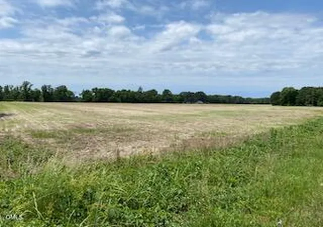 5th image of 2278 Jonesboro Rd, Dunn, NC 28334 | MLS# 10149685