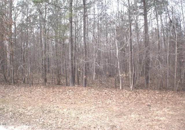 Photo 3 of Sale Pending at 0 Martin Pond Rd, Wendell, NC 27591 | MLS# 10150996 | Listing updated on 2026-08-27