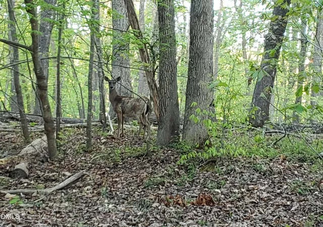 1st image of Lot 2 Deer Run Trl, Hillsborough, NC 27278 | MLS# 10150691