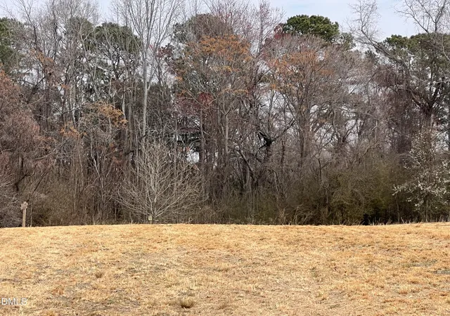 Photo 3 of Land for sale at 1129 Landmark Rd, Willow Springs, NC 27592 | MLS# 10150212 | Listing updated on 2026-09-10