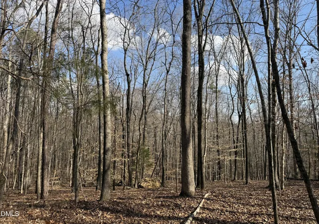 Photo 1 of Land for sale at 0 Birch Crk Farm Ln, Franklinton, NC 27525 | MLS# 10151152 | Listing updated on 2026-07-18