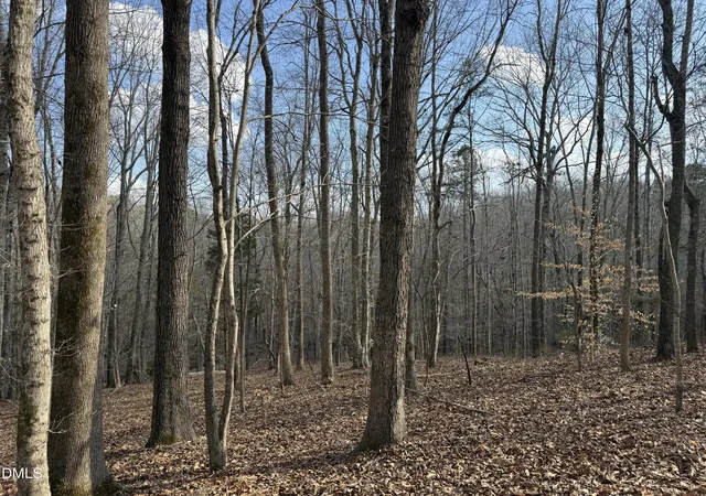 Photo 3 of Land for sale at 0 Birch Crk Farm Ln, Franklinton, NC 27525 | MLS# 10151152 | Listing updated on 2026-07-18