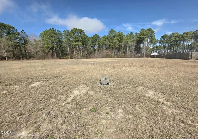 1st image of 290 Raynor Sands Dr, Dunn, NC 28334 | MLS# 10151285