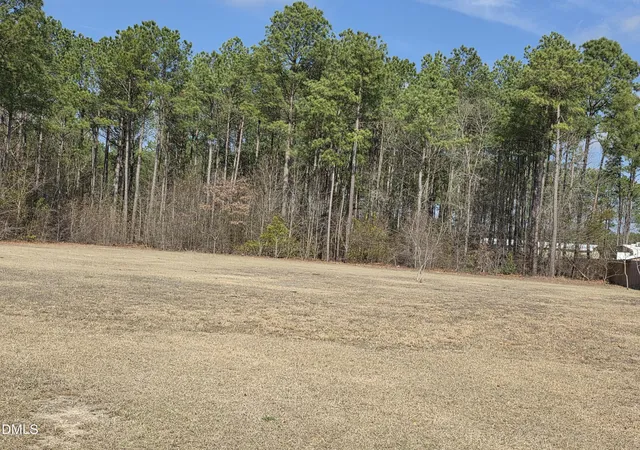 2nd image of 290 Raynor Sands Dr, Dunn, NC 28334 | MLS# 10151285