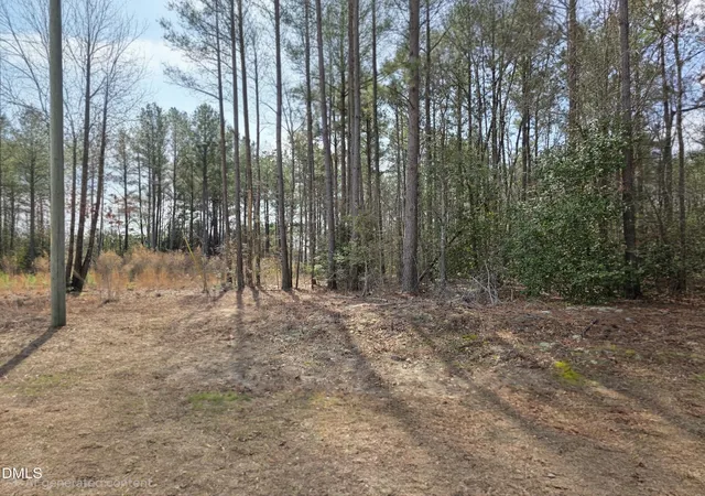 1st image of 275 Raynor Sands Dr, Dunn, NC 28334 | MLS# 10151294