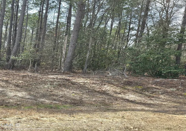 2nd image of 275 Raynor Sands Dr, Dunn, NC 28334 | MLS# 10151294