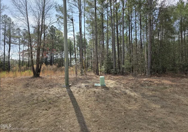 Photo 3 of Sale Pending at 275 Raynor Sands Dr, Dunn, NC 28334 | MLS# 10151294 | Listing updated on 2026-10-01