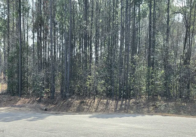 Photo 3 of Sale Pending at 275 Raynor Sands Dr, Dunn, NC 28334 | MLS# 10151294 | Listing updated on 2026-10-01