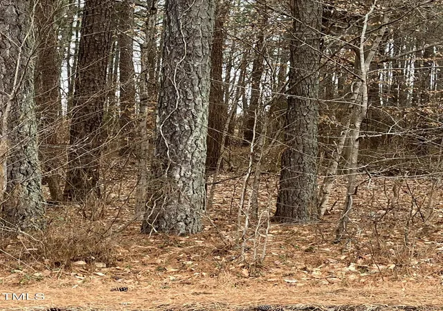 Photo 2 of Unimproved Land at 1822 Ruin Crk Rd, Henderson, NC 27537 | MLS# 10151418 | | Sold on 2026-05-29
