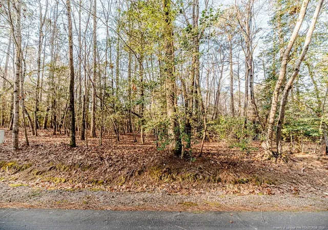 Homes for sale in Sanford, NC | 2028 Long Point Trl, Sanford, NC 27332 | MLS# 758600