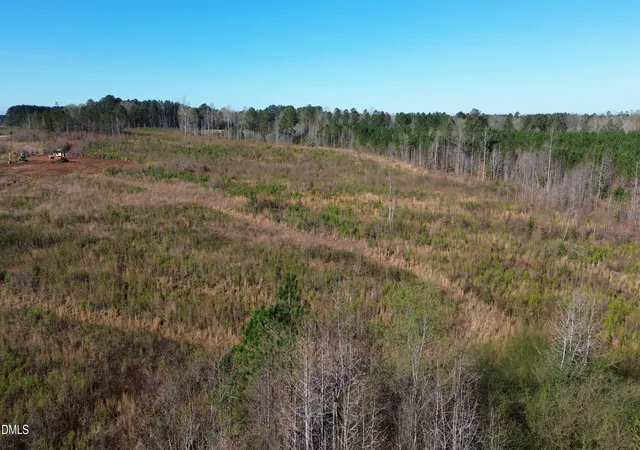 5th image of 175 Tillery Dr, Louisburg, NC 27549 | MLS# 10152656
