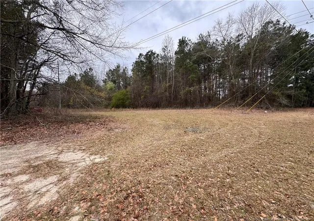 Photo 2 of Land at 0 Brisson Rd, Parkton, NC 28371 | MLS# 758772 |  | Sold on 2026-06-30