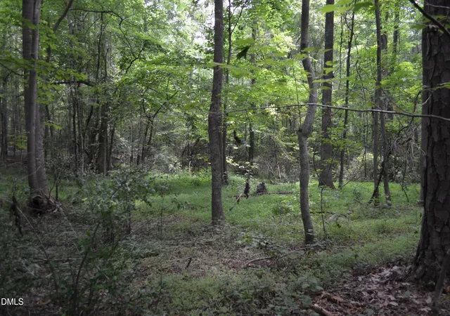 Photo 1 of Unimproved Land at 0 Dyson Dr, Mebane, NC 27302 | MLS# 10153015 | | Sold on 2026-05-27
