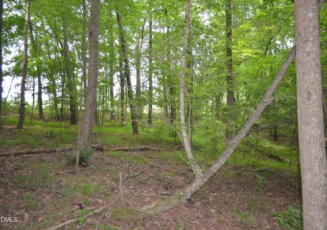 Photo 4 of Unimproved Land at 0 Dyson Dr, Mebane, NC 27302 | MLS# 10153015 | | Sold on 2026-05-27