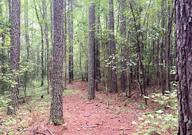 Photo 12 of Land for sale at 411 Auburn Ln, Pittsboro, NC 27312 | MLS# 10154127 | Listing updated on 2026-07-28