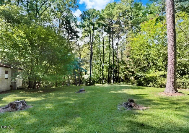 5th image of 15653 Buffalo Rd, Clayton, NC 27527 | MLS# 10154498