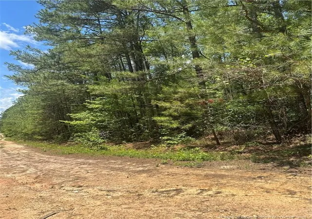 Photo 3 of Land for sale at 355 Marigold Ln, Vass, NC 28394 | MLS# 758785 | Listing updated on 2026-07-18