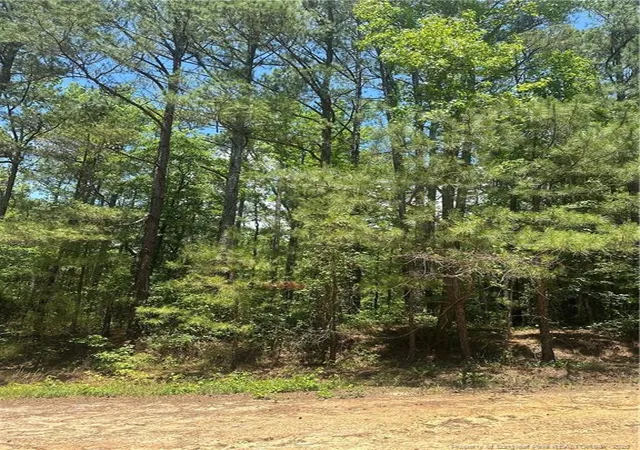 Photo 4 of Land for sale at 355 Marigold Ln, Vass, NC 28394 | MLS# 758785 | Listing updated on 2026-07-18