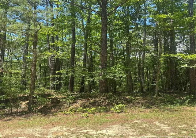 Photo 5 of Land for sale at 355 Marigold Ln, Vass, NC 28394 | MLS# 758785 | Listing updated on 2026-07-18