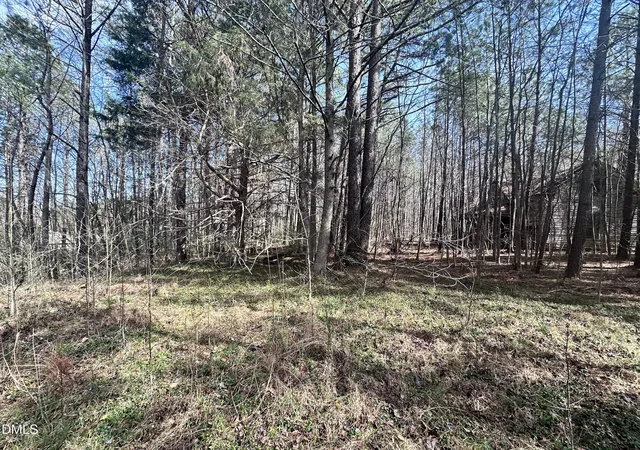 1st image of 0 Pleasant Hill Church Rd, Siler City, NC 27344 | MLS# 10154236